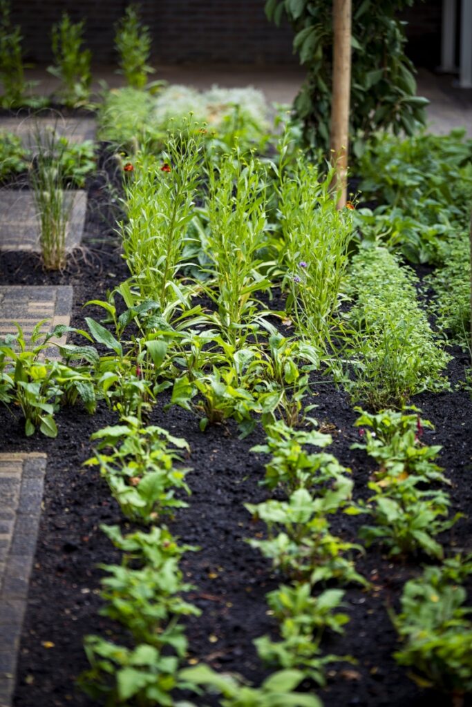 TuinGoudaSEPT25-vdwalbeeld_37